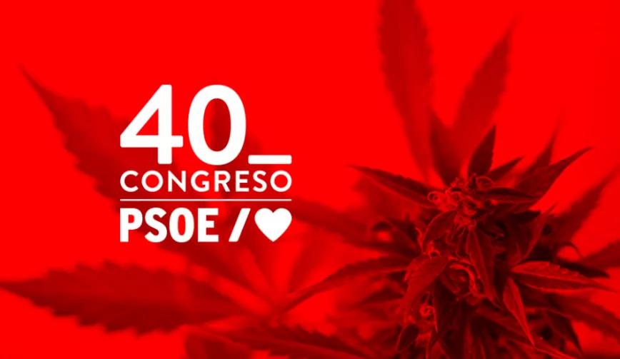 El PSOE incluye la regulación del cannabis medicinal para debate en su 40º Congreso