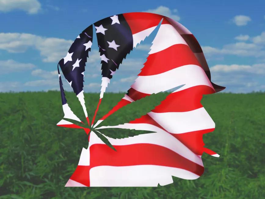 Un comité del Senado estadounidense vota para proteger el acceso al cannabis medicinal para veteranos 