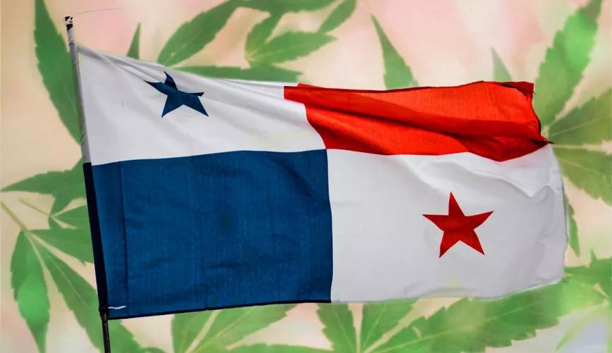 Asamblea Nacional de Panamá aprueba el proyecto de regulación del cannabis medicinal