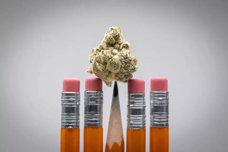 El Instituto Nacional de Drogas admite que la legalización en EE UU no ha aumentado el uso adolescente 