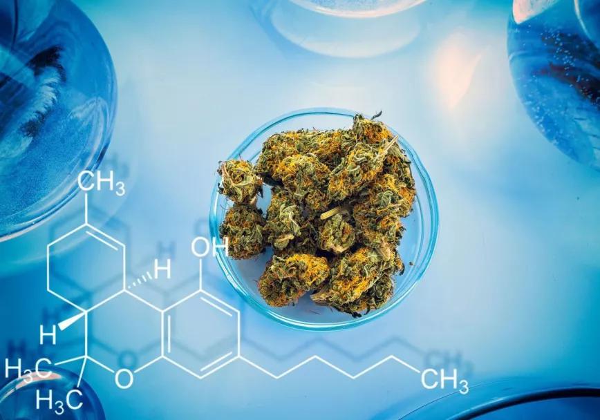El Gobierno de EEUU propone facilitar el acceso científico a las drogas para aumentar la investigación 
