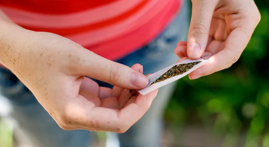 La regulación del cannabis no aumenta el consumo adolescente afirma un estudio de una prestigiosa revista  