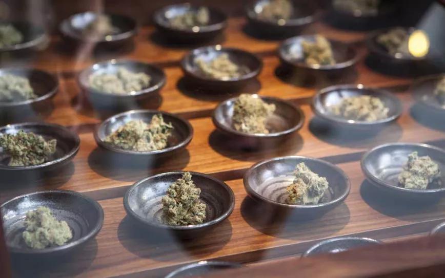 Zurich pone inicia los preparativos para la dispensación de cannabis recreativo para adultos 