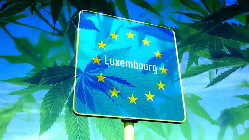 El Gobierno de Luxemburgo presentará su propuesta de regulación del cannabis en octubre