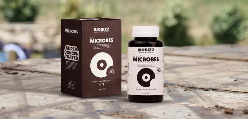 Desbloquea todo el potencial genético de tus plantas con el nuevo Biobizz Microbes Polvo