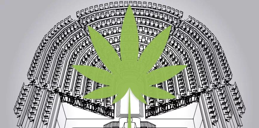 Comparamos las tres proposiciones de ley para regular el cannabis en España