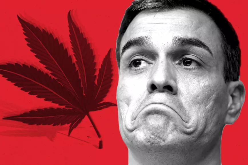 El PSOE adelanta que no apoyará la propuesta de ley sobre el cannabis que se vota esta tarde