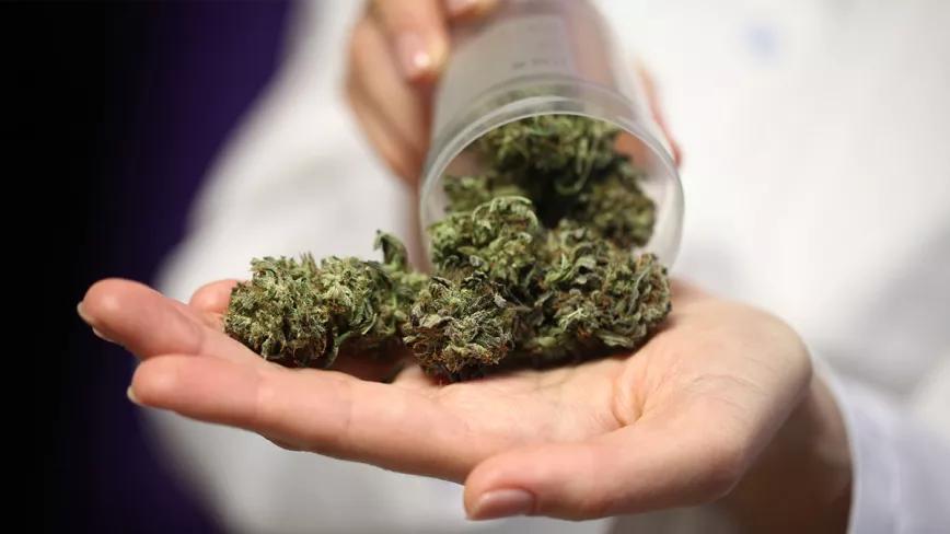 Expertos en dolor reclaman el acceso medicinal al cannabis para los pacientes