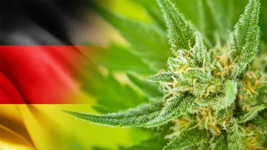 Alemania se acerca a una posible regulación del cannabis recreativo