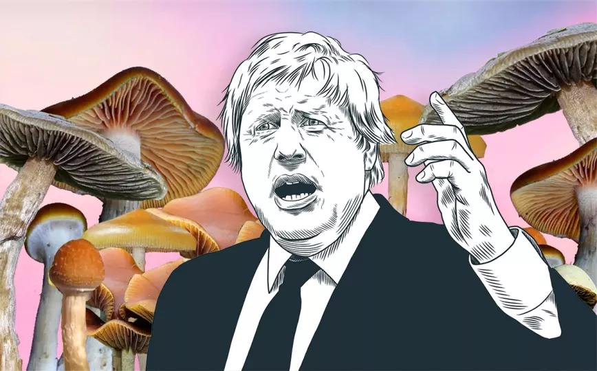Boris Johnson dice que considerará reducir las restricciones sobre los hongos psilocybe