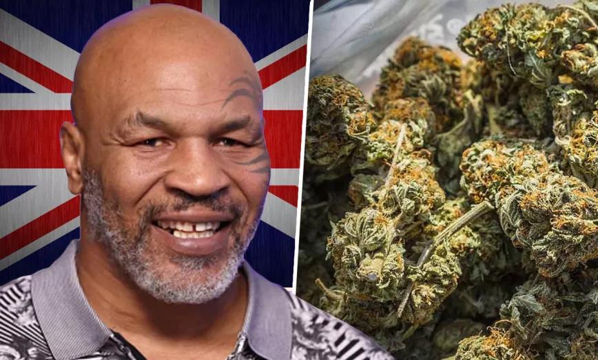 Mike Tyson recomienda a Reino Unido legalizar el cannabis 
