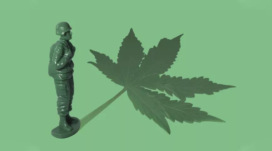 El uso de cannabis en el pasado no afecta al rendimiento militar 
