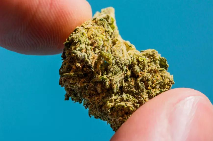 La legalización del cannabis no se asocia con un aumento de enfermedades mentales afirma un estudio