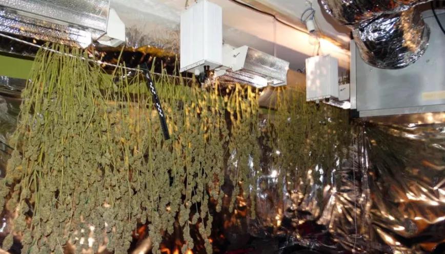La plantació de marihuana oculta en un pis d'Avinyonet de Puigventós. MOSSOS