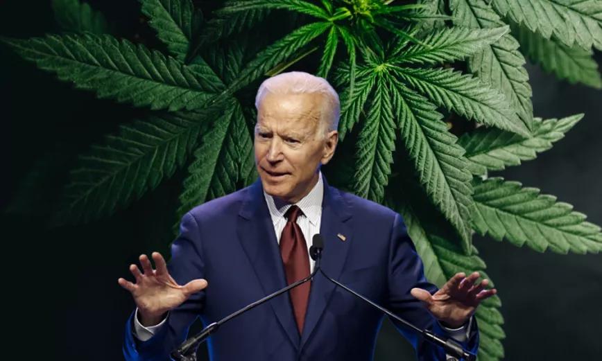 Biden podría legalizar la marihuana en solitario pero ni siquiera está indultando a los presos por cannabis