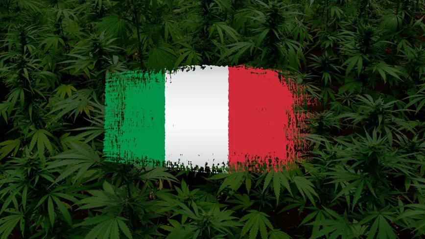 El debate sobre el cannabis en Italia divide a la coalición de Gobierno 