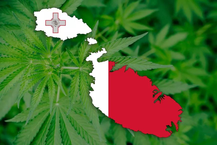 https://canamo.net/noticias/mundo/malta-anuncia-la-legalizacion-del-autocultivo-y-los-clubs-de-cannabis