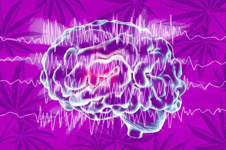 Un estudio halla mejoras significativas en pacientes con epilepsias bajo tratamiento con cannabis 