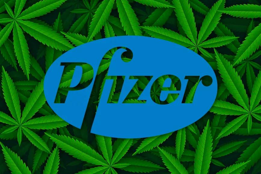 Pfizer entra en el cannabis medicinal tras adquirir una empresa que investiga fármacos cannábicos 
