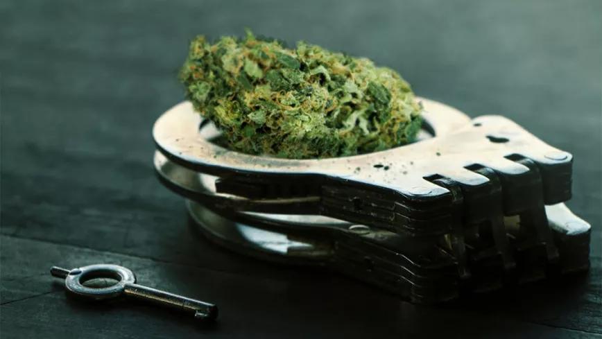 Colorado indulta a 1351 condenados por posesión de cannabis