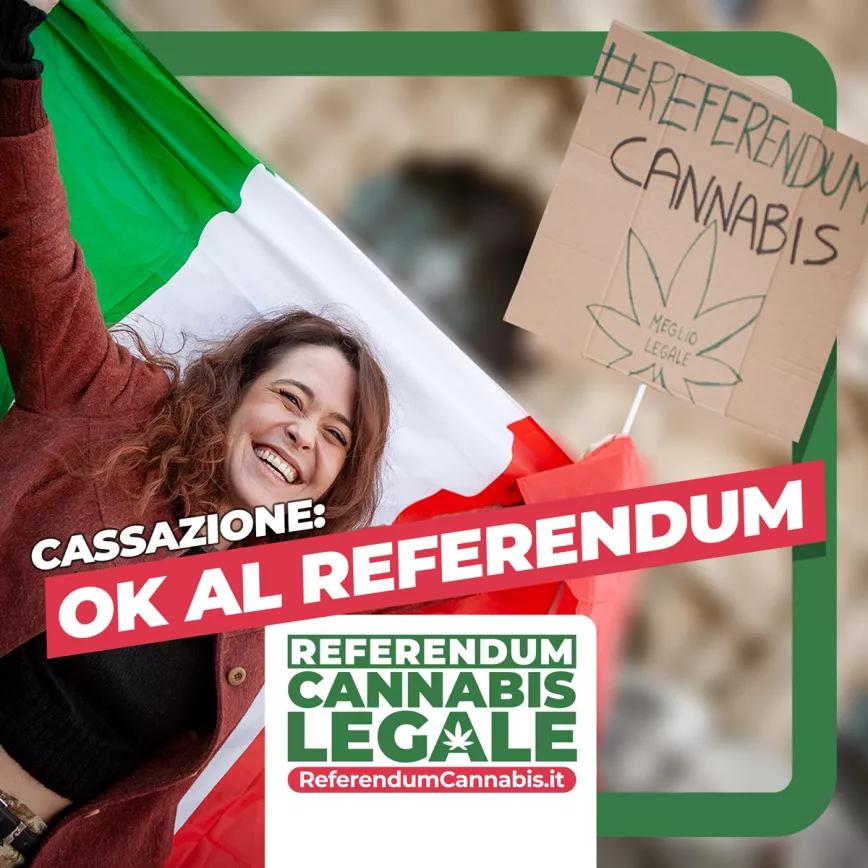 Italia certifica las firmas del referéndum para despenalizar el cultivo de cannabis y otros psicoactivos