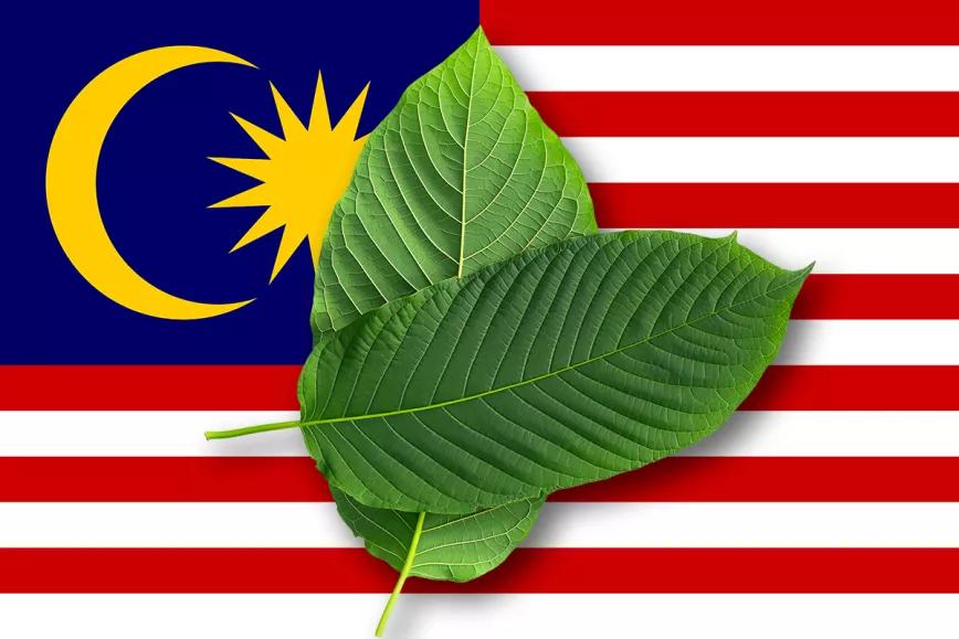 Malasia revisará su legislación para permitir el uso medicinal del cannabis y el kratom