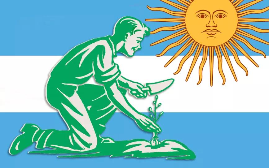 Proponen la despenalización del autocultivo de cannabis en Argentina