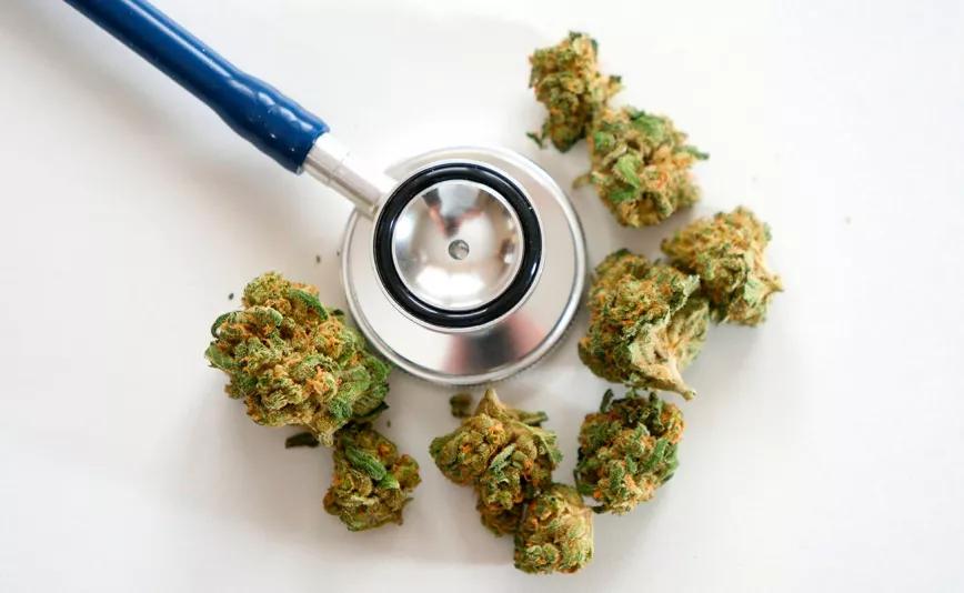 La subcomisión para estudiar el cannabis medicinal arrancará la próxima semana