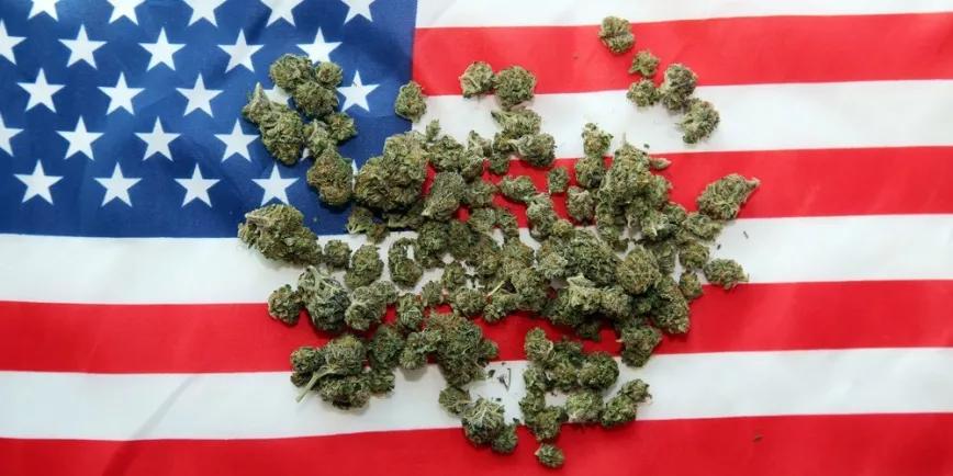 La nueva propuesta de ley para legalizar el cannabis en todo EE UU se formalizará en abril