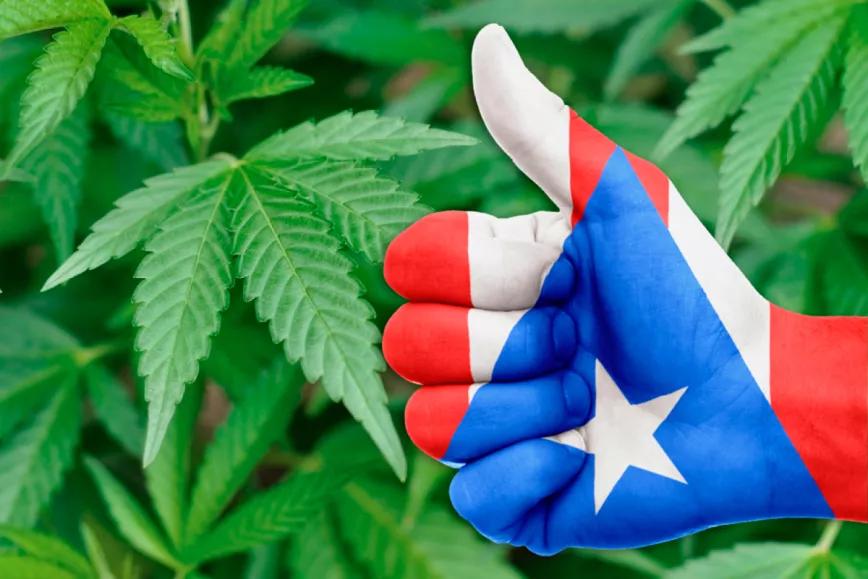 Un legislador puertorriqueño propone regular el uso adulto de cannabis