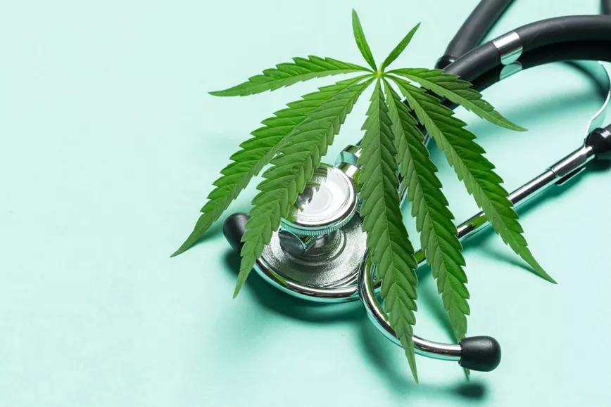 El OECM y ICEERS critican la falta expertos en cannabis medicinal convocados a la subcomisión
