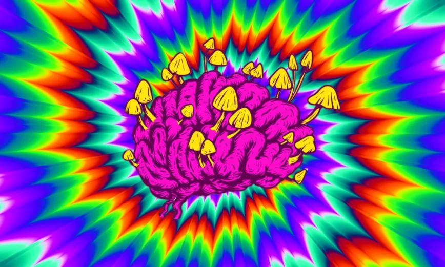 Un estudio compara los efectos y la potencia de la LSD y la psilocibina 