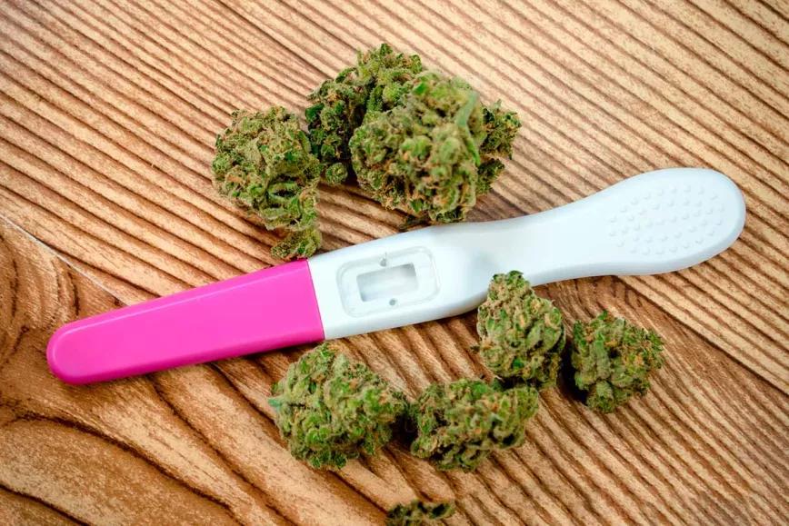Alabama propone que las mujeres demuestren que no están embarazadas para acceder al cannabis medicinal