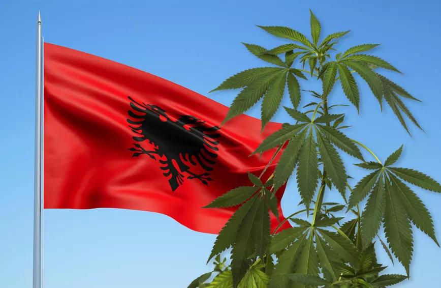 El Gobierno de Albania promete la regulación del cannabis medicinal