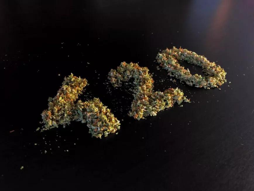 5 vídeos para celebrar el día de la marihuana y entender qué está pasando con la planta 