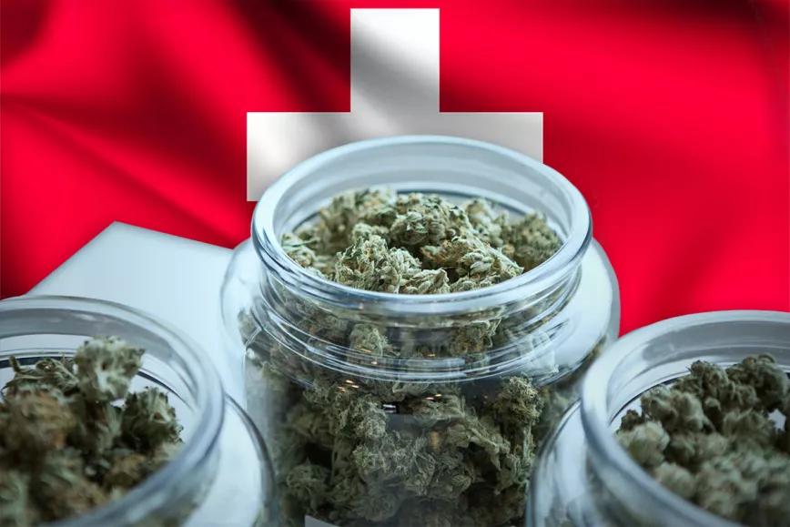 Basilea venderá cannabis legal a adultos