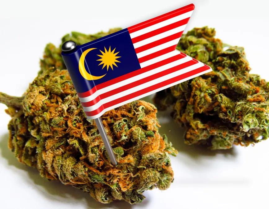 Malasia autoriza la regulación del cannabis medicinal