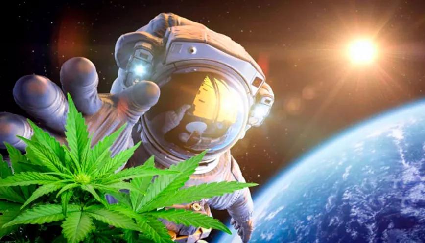 ¿Cuándo fumaremos porros en el espacio?
