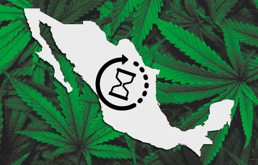 Los legisladores mexicanos siguen retrasando la regulación del cannabis