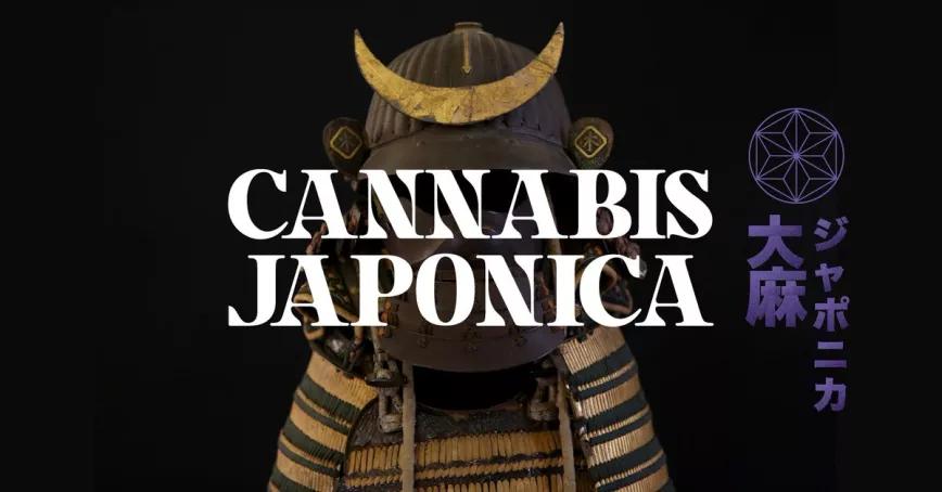 El Hemp Museum inaugura la muestra Cannabis Japonica