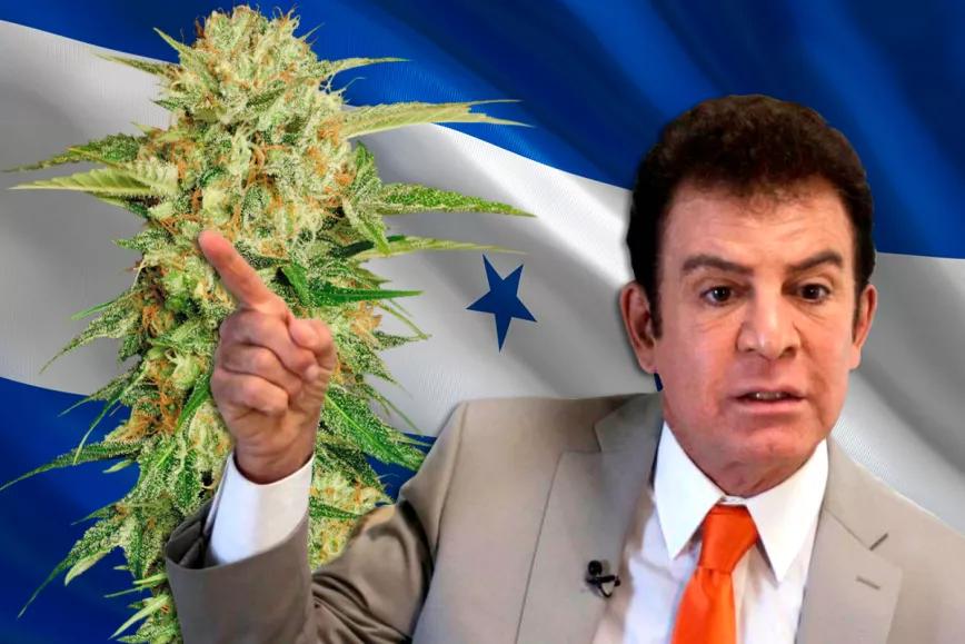 El vicepresidente de Honduras propone legalizar la producción de cannabis