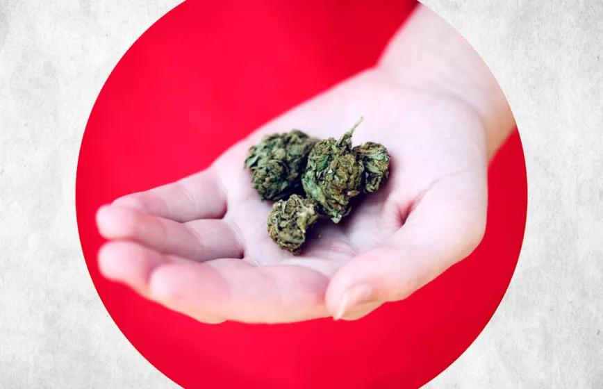 Japón trabaja ya en la regulación del cannabis medicinal 
