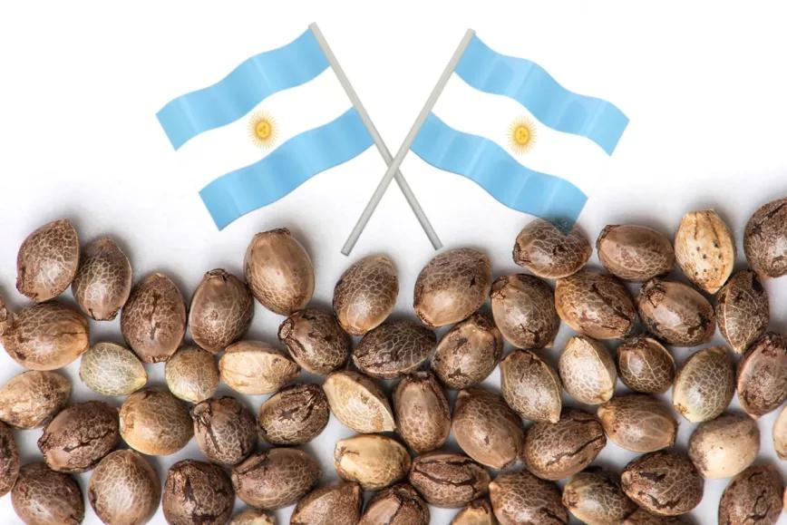 Argentina legaliza las semillas de cannabis
