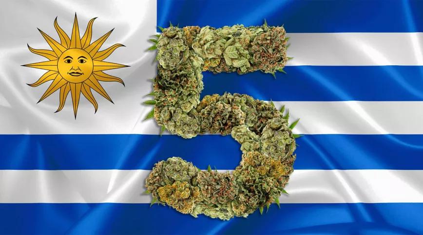 Uruguay cumple cinco años vendiendo marihuana legal