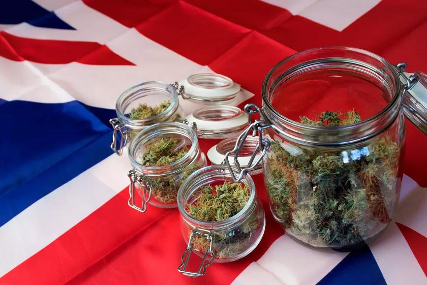 Legalizar la marihuana para aumentar el turismo, dicen los conservadores británicos 