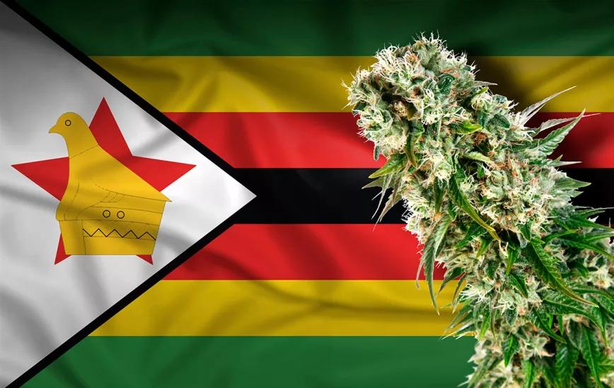 Zimbabwe autoriza el uso medicinal de cannabis no psicoactivo