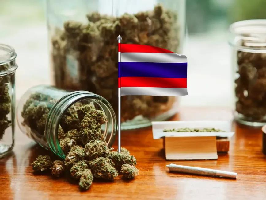 Podría haber una legalización del cannabis recreativo en Tailandia, dice su ministro