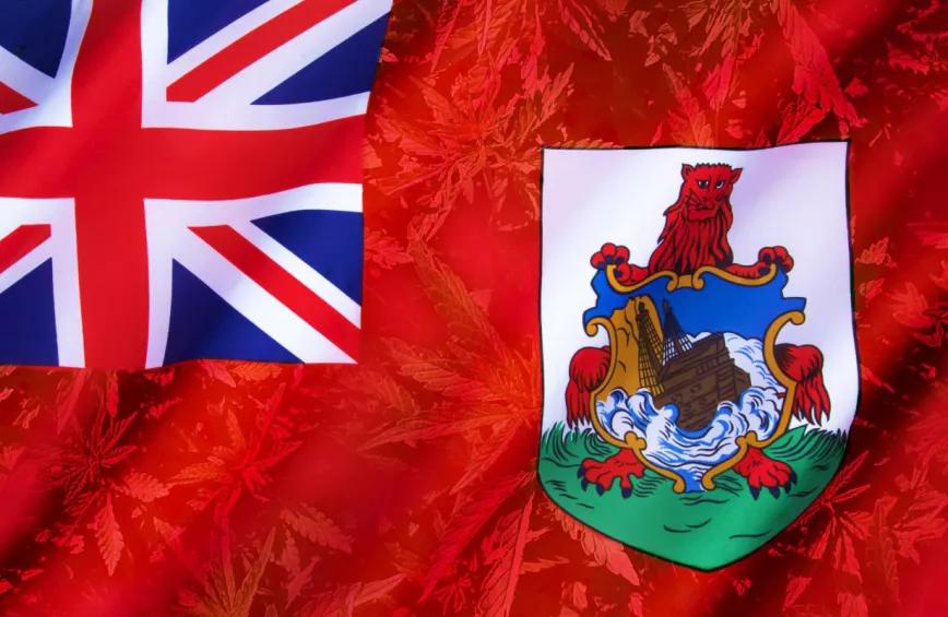 Reino Unido bloquea la legalización del cannabis en Bermudas