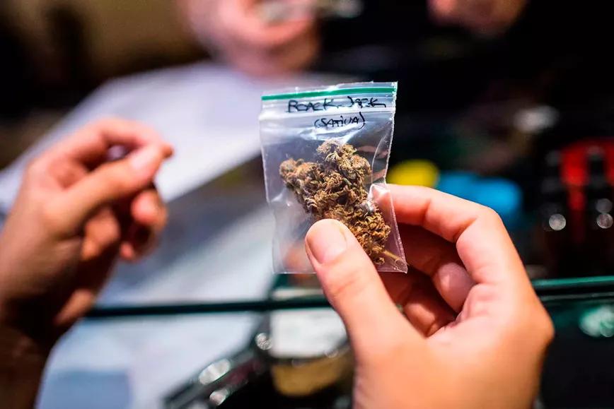 Alemania incluirá los clubs de cannabis en su legalización 