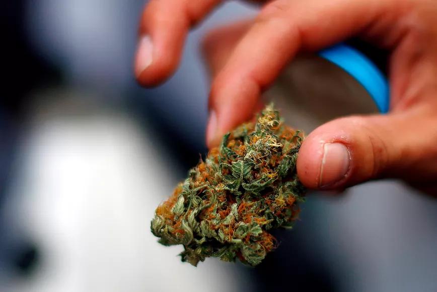 Los clubs de cannabis también estarán en la legalización de Costa Rica 